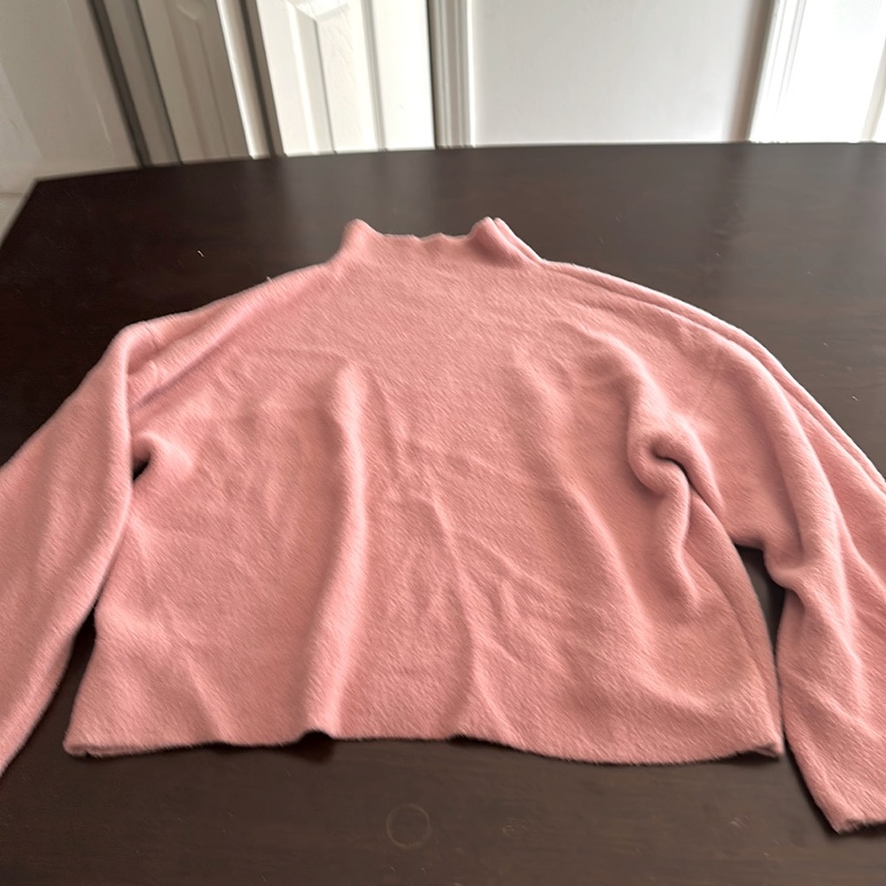Express pink sweater